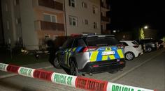 Obrovská tragédie na Slovensku: Zbloudilá kulka zabila mladou maminku