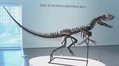 Vědci zjistili, proč měl t-rex malé přední končetiny. Důvod všechny překvapil