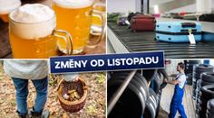 Změny od listopadu: Zdraží pivo, pozor na zákaz vstupu do lesa!
