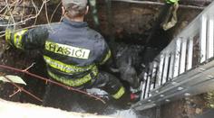 Beran uvízl v jímce, při záchrané akci za ním spadl i hasič