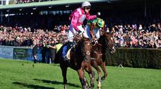 Dramatický finiš na Velké pardubické. Slavný závod těsně vyhrál Mr Spex