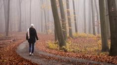 Nástup La Niñy se nezadržitelně blíží. Začít může už za několik dní