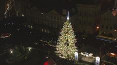 Vánoční strom už jede do Prahy! Podívejte se na něj