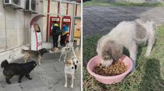 Chcete si adoptovat pejska? Organizaci pomáhá i herečka Dostálová