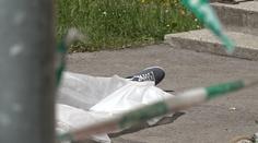 Otec vyskočil z okna, dcera zřejmě ubodala babičku! Hrozí jí doživotí