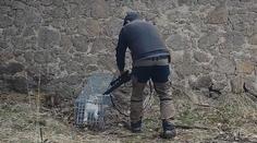 VIDEO: Hrozivé týrání zvířat u Prahy. Správce obory měl chytat a střílet kočky