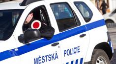 Mladík zemřel po zásahu strážníků v Březnici. Policie zveřejnila příčinu smrti
