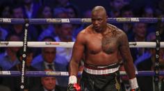 Anthony Joshua je bez soupeře, Whyte byl testován pozitivně na zakázané látky