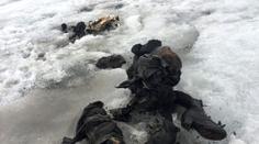 Dcera našla rodiče po 75 letech. Byli zamrzlí v alpském ledovci!