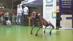 V Praze se konal festival umělé inteligence. Představil i sociálního robota