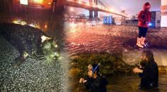 Foto z New Yorku: Bouře vyhodila do ulic Manhattanu lachtana