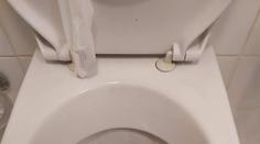 Host se nastěhoval v Praze do hotelu, na WC ho překvapila krajta královská