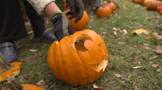 Češi slaví Halloween. Vyřezávání dýní je už každoroční zvyk