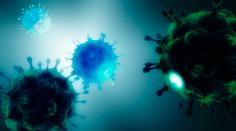 Soud v Liberci potrestal gaye s HIV, že partnerům neřekl o nemoci