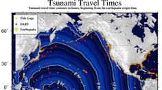 Zemětřesení u Šalamounových ostrovů vyvolalo obavy z tsunami
