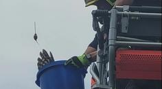 Neobvyklá záchrana na Opavsku. Hasiči lapali do kbelíku zamotaného ptáka