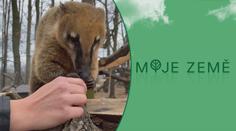 Zoologické zahrady mají stále problémy. Lidé se skládají i na krmivo