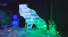 Výjimečná výstava v Plzni: Na ledové sochy dinosaurů láká muzeum Depo Moto Art