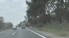 Dálnici D10 lemují nebezpečné stromy. Některé musí k zemi, slibuje ŘSD
