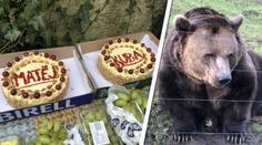 Pohádkoví medvědi slavili 20 let! Jsou líní a Kuba trochu alkoholik