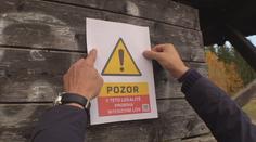 Na Jablonecku jdou do akce odstřelovači. Budou likvidovat divoká prasata