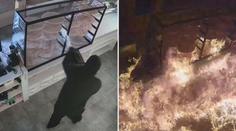 Žhář polil pizzerii hořlavinou a zapálil. Kamera ohnivé peklo natočila!! VIDEO
