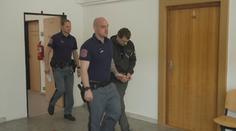 Tyran z Lounska dostal 15 let vězení. Nic podobného jsem neviděl, řekl soudce