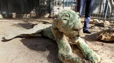 Děsivé FOTO: Mumie zvířat i přežívající mrtvoly, to je zoo hrůzy