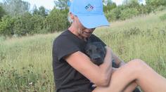 Veterináři po tornádu ošetřují desítky zvířat. Mohou být agresivní, varují