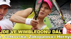Wimbledon: Z českých tenistů je ve druhém kole jen Minář, dál jde i Federer