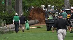 Děsivé i kuriózní. Na green začaly během golfového turnaje padat stromy