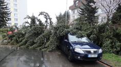 Česko sčítá škody po bouři, vítr lámal stromy a strhával střechy