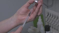 Případů tuberkulózy přibývá. Souvislost s uprchlíky zatím není prokazatelná, uvádí odborníci