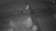 Policie dopadla vánoční zlodějku. Měla krást ozdoby i věnce ze dveří