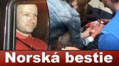 To je tvá práce, Breiviku! Zmrzačení ukazují rány