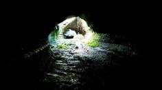 V Litvě objevili záhadný tunel do Běloruska. Přísně ho střeží stráže se psy