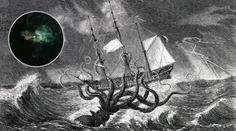 Záhada u antarktického pobřeží: Je to kraken, tvrdí lovci senzací