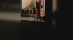 Muž z Prahy brutálně mlátil štěně, házel s ním i o zem! Řeší to policie