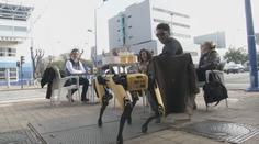 Místo číšníků roznáší ve španělské restauraci pivo robotický pes