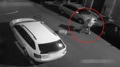 Lupič vláčel dívku za vlasy a kopl ji do hlavy. Poznáváte ho? VIDEO