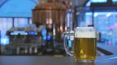 Objednat pivo se dá online! Chytrá mapa ukáže i výdejní místo pivovaru