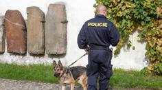 Pachové stopy používala policie špatně, tvrdí spolek Šalamoun