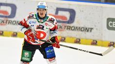Liberec vítá pomoc z Pardubic. Bude chtít nastartovat bývalého hráče NHL