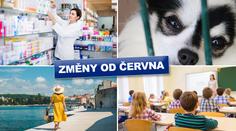 Vyšší tresty za týrání, nová žádost o ošetřovné. Tohle se od června mění