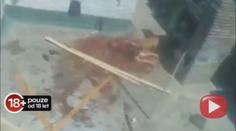 Pitbull roztrhal vlastní paničku! BRUTÁLNÍ VIDEO