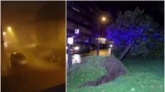 V Německu řádilo tornádo! Na auto s rodinou spadl strom