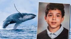 Modrá velryba má další oběť. Chlapec (13) spáchal sebevraždu