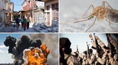 Terorismus, únosy, války i nemoci: Tohle hrozí v jednotlivých zemích