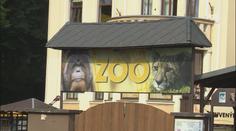 Ústecká zoo chce zpět mezi elitu. Vrátí se tam několik zvířat