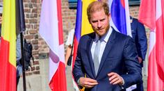 Harry má po králově děsivé diagnóze velké plány. Hned se dal do práce